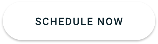 Schedule Now